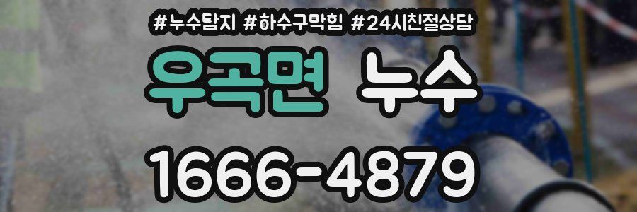 우곡면 누수