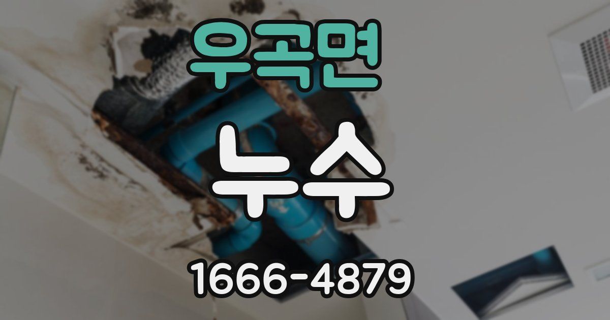 우곡면 누수