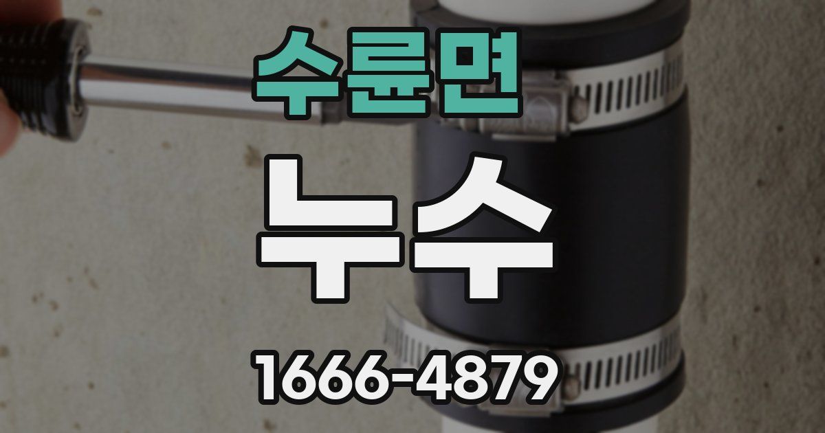 수륜면 누수