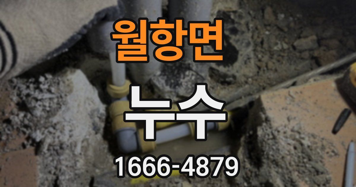 월항면 누수