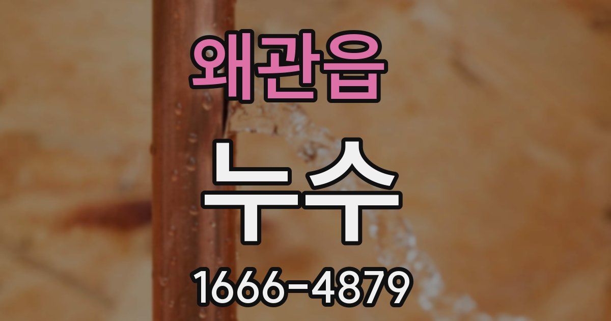 왜관읍 누수