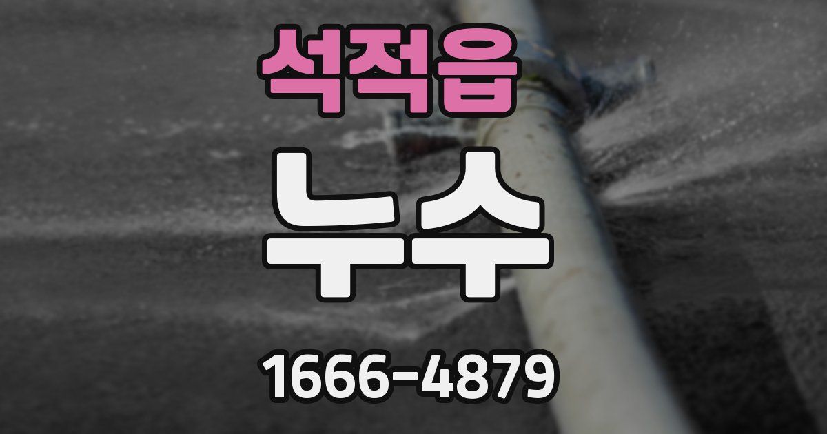 석적읍 누수