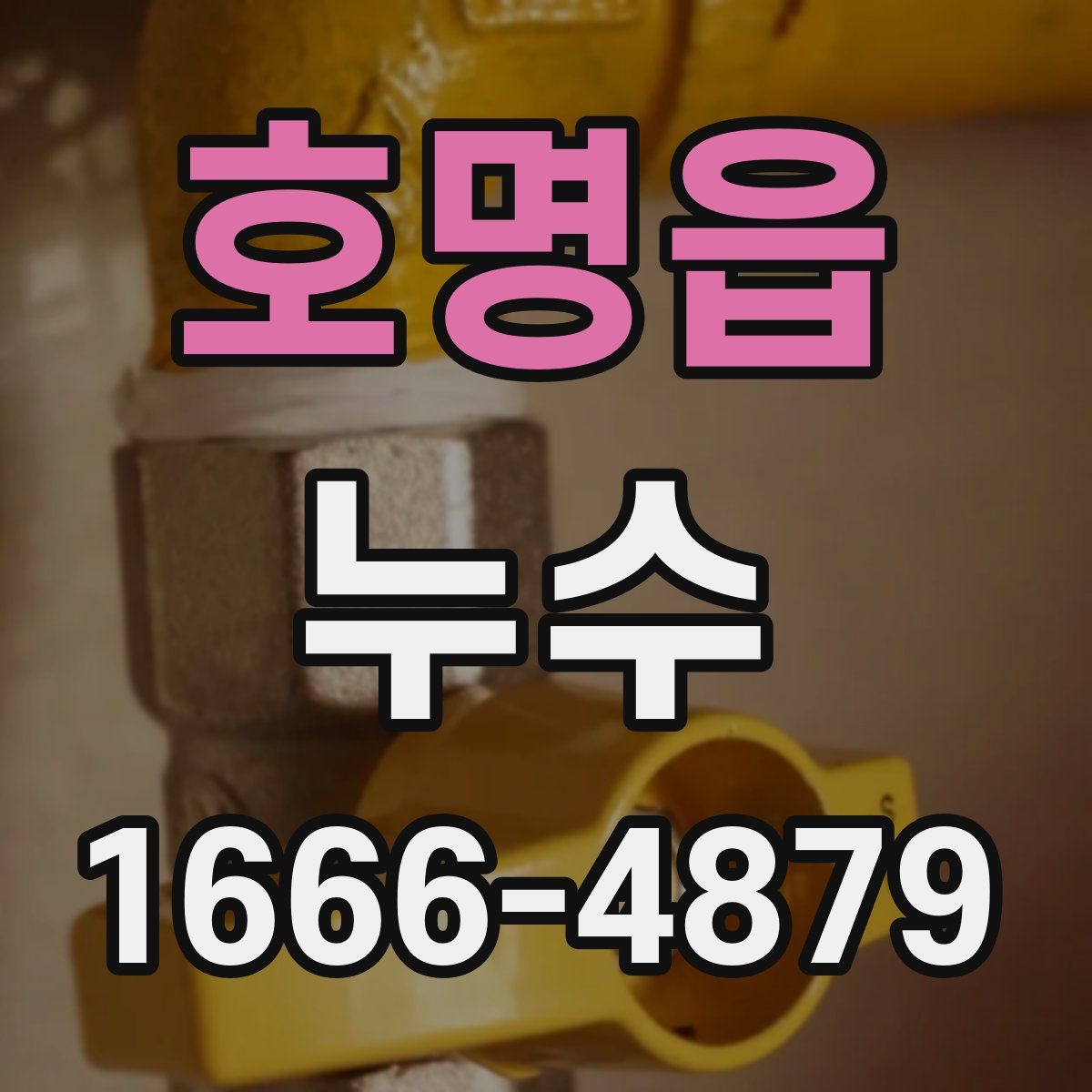 호명읍 누수
