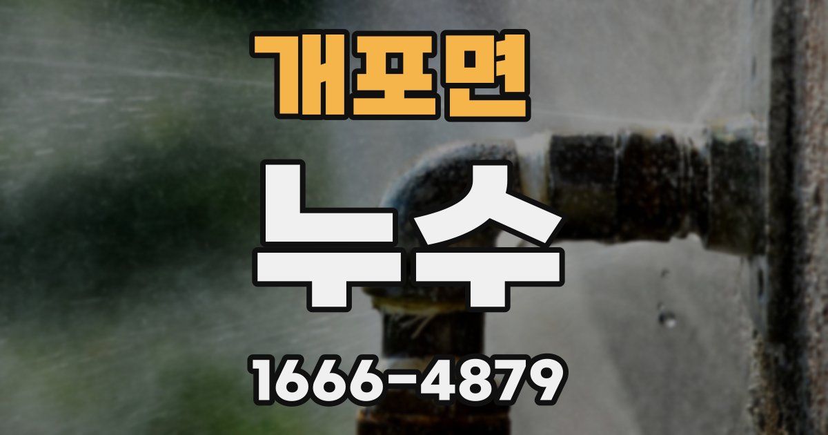 개포면 누수
