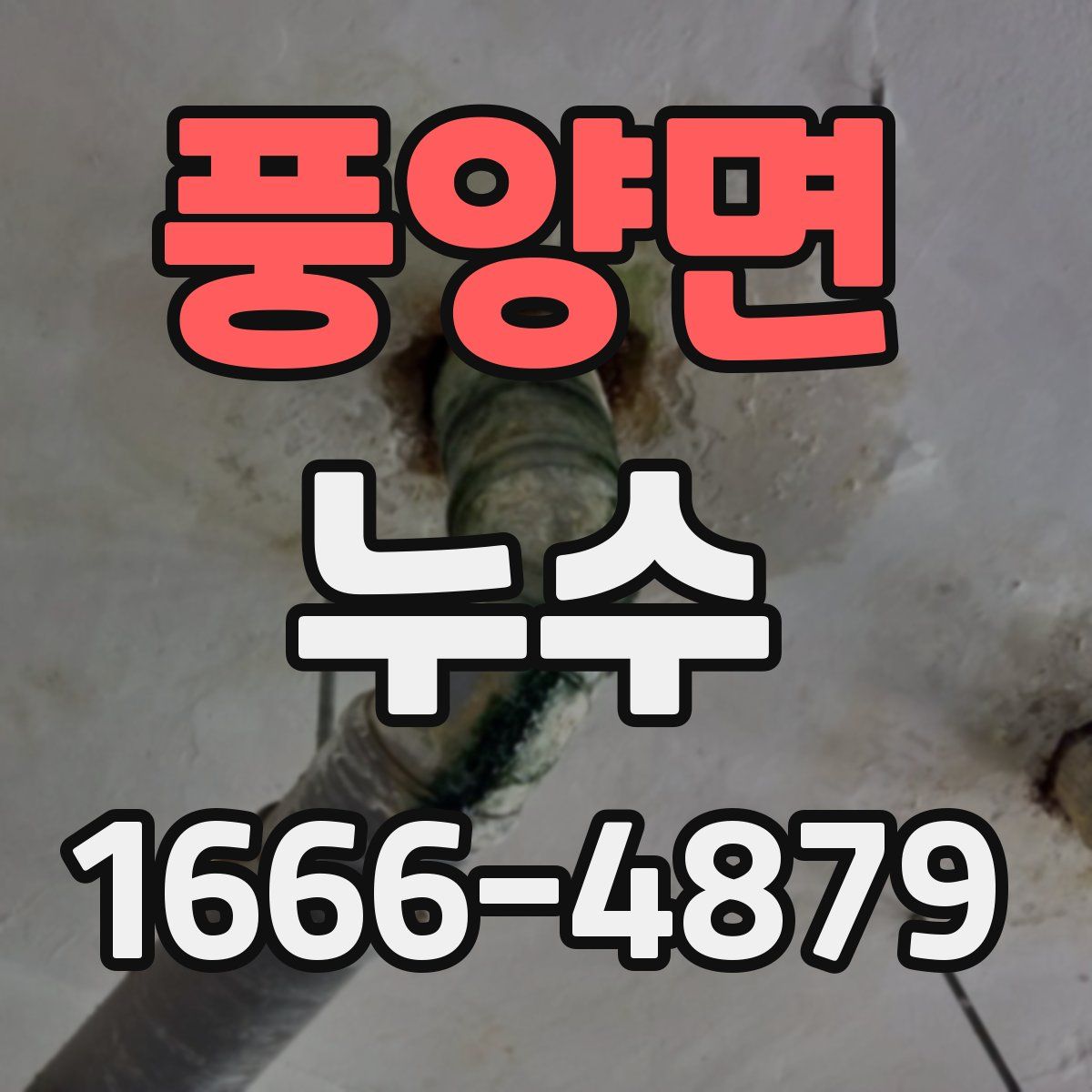 풍양면 누수