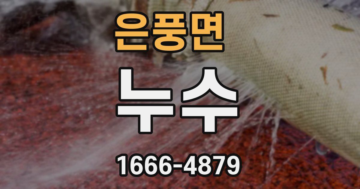 은풍면 누수