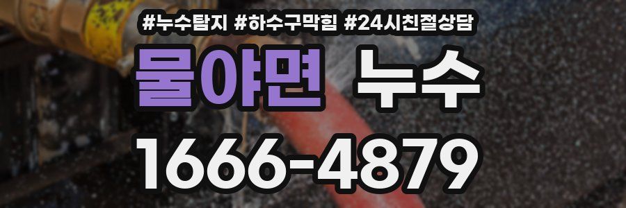 물야면 누수