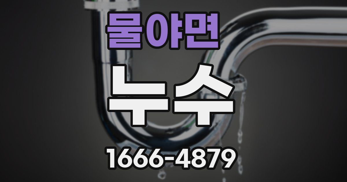 물야면 누수