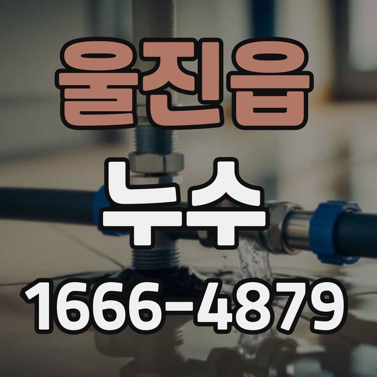 울진읍 누수