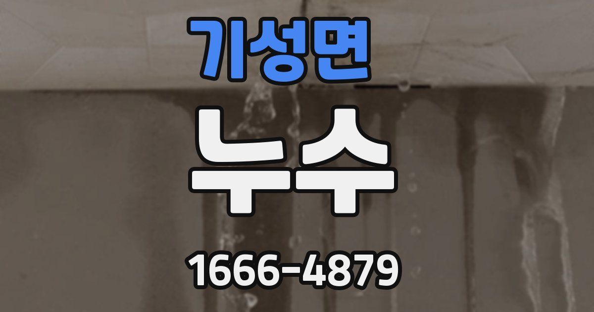 기성면 누수