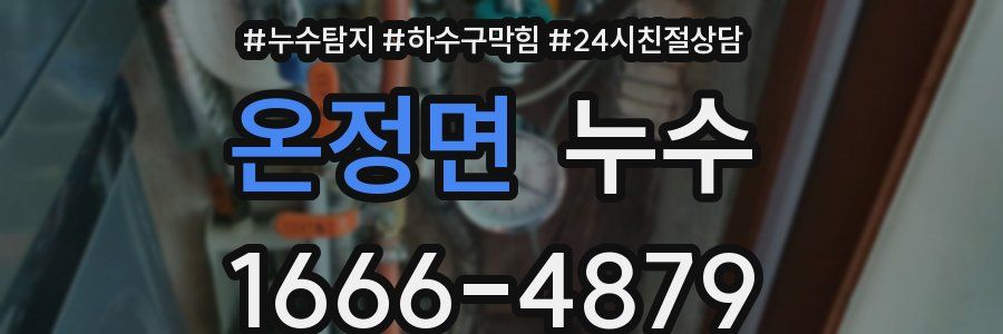 온정면 누수