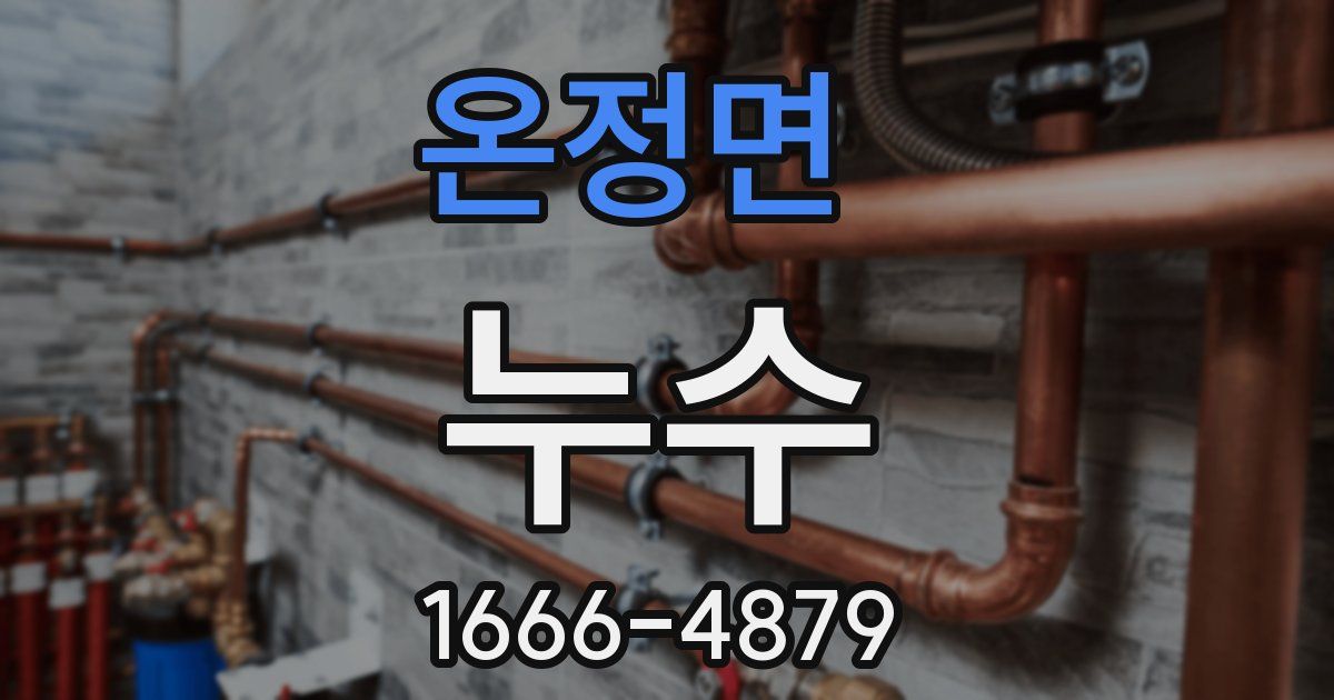온정면 누수