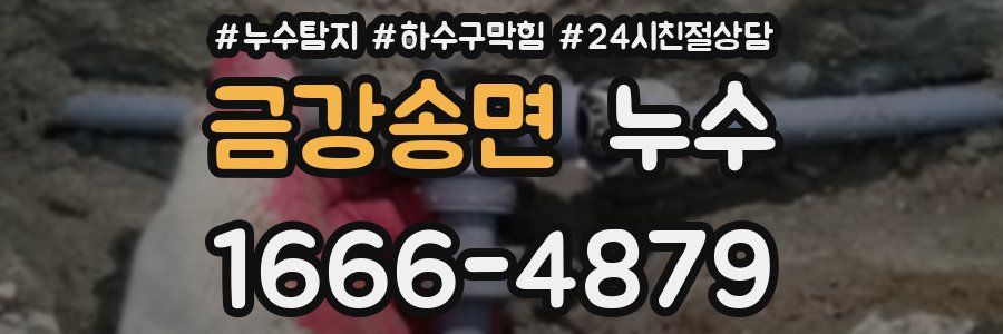 금강송면 누수