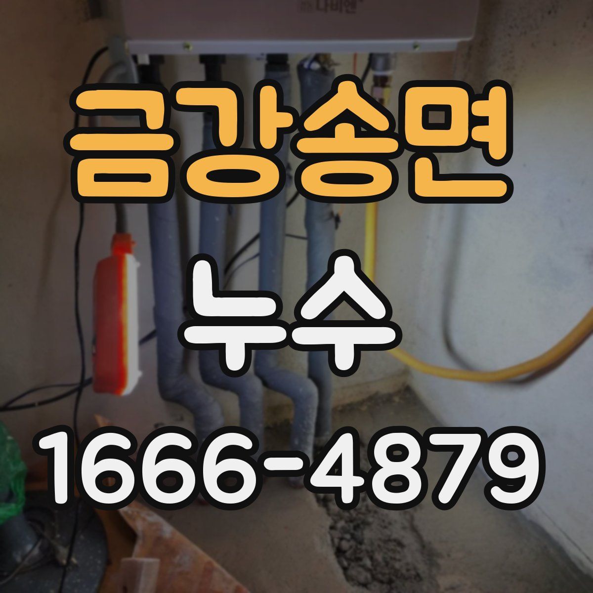 금강송면 누수