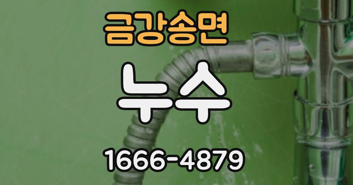 금강송면 누수