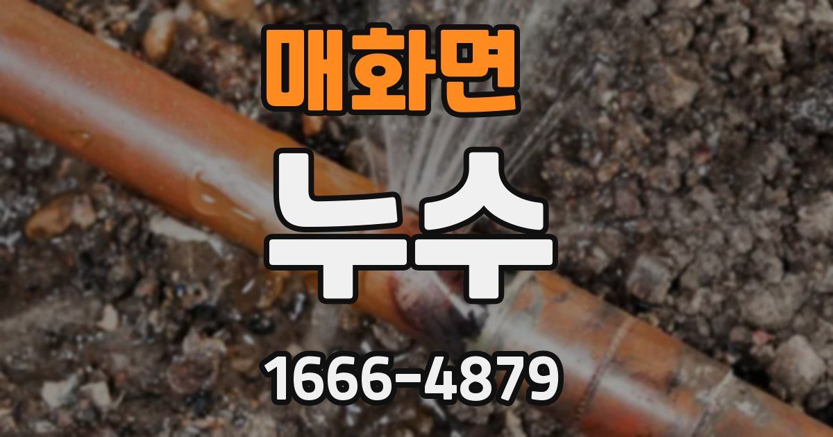 매화면 누수