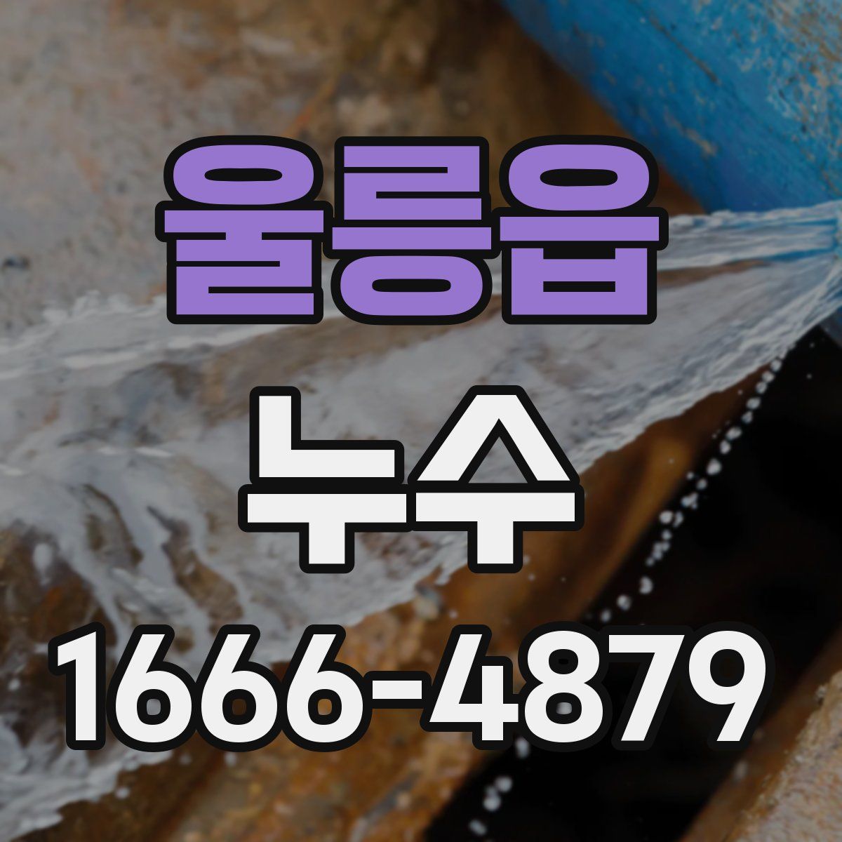 울릉읍 누수