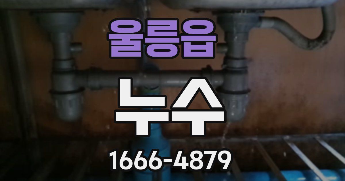 울릉읍 누수