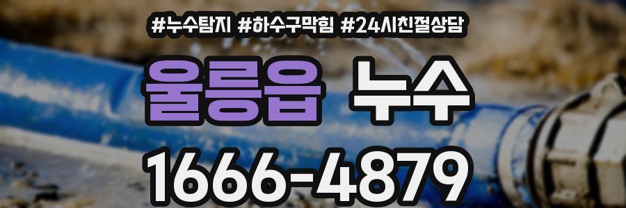 울릉읍 누수