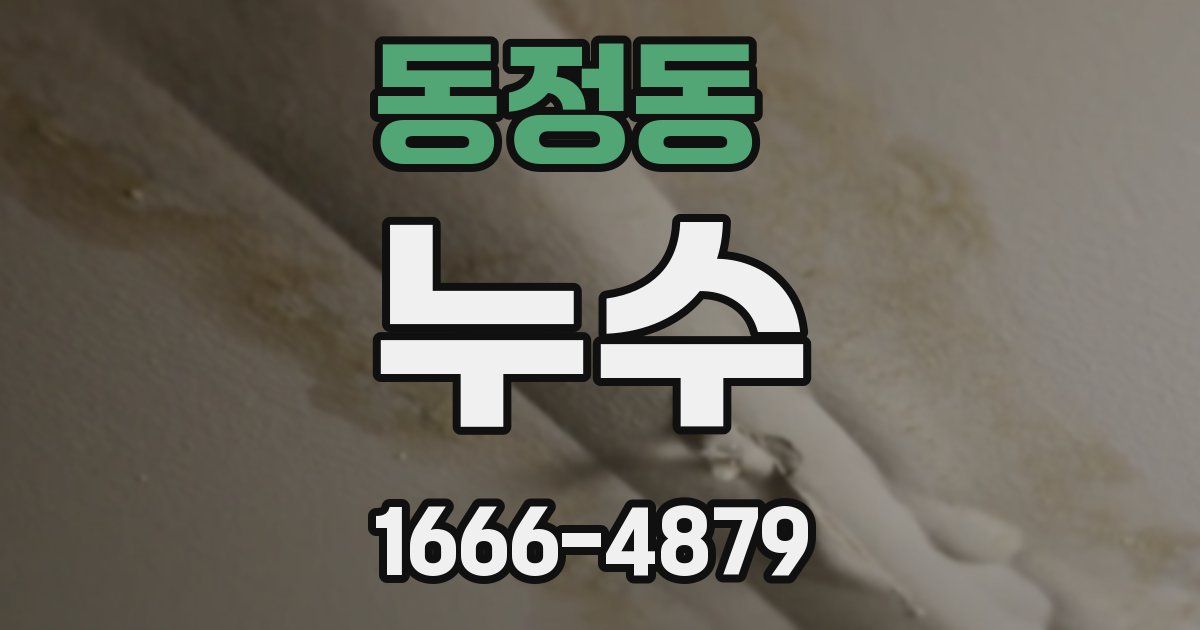 동정동 누수