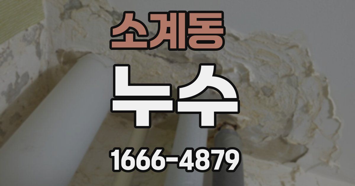 소계동 누수
