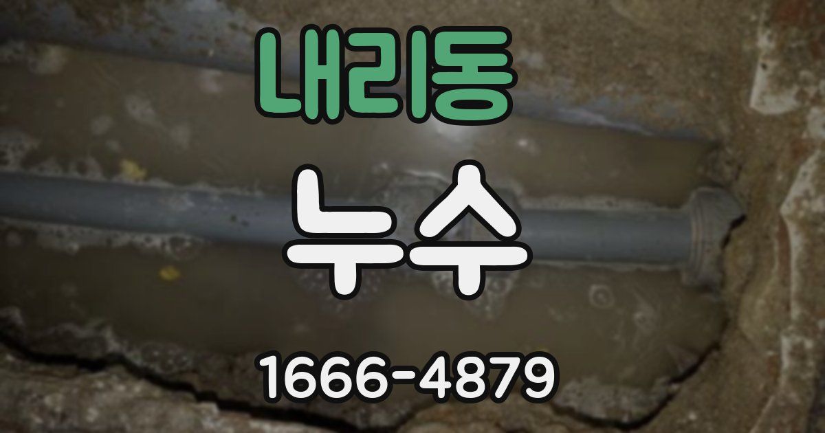 내리동 누수