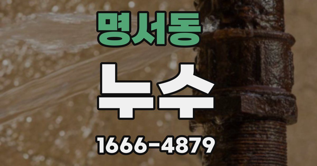 명서동 누수