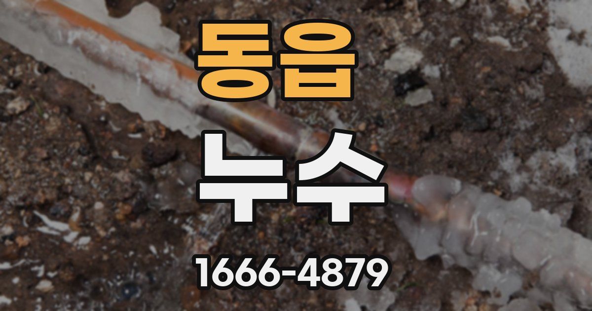 동읍 누수