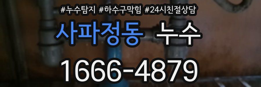 사파정동 누수