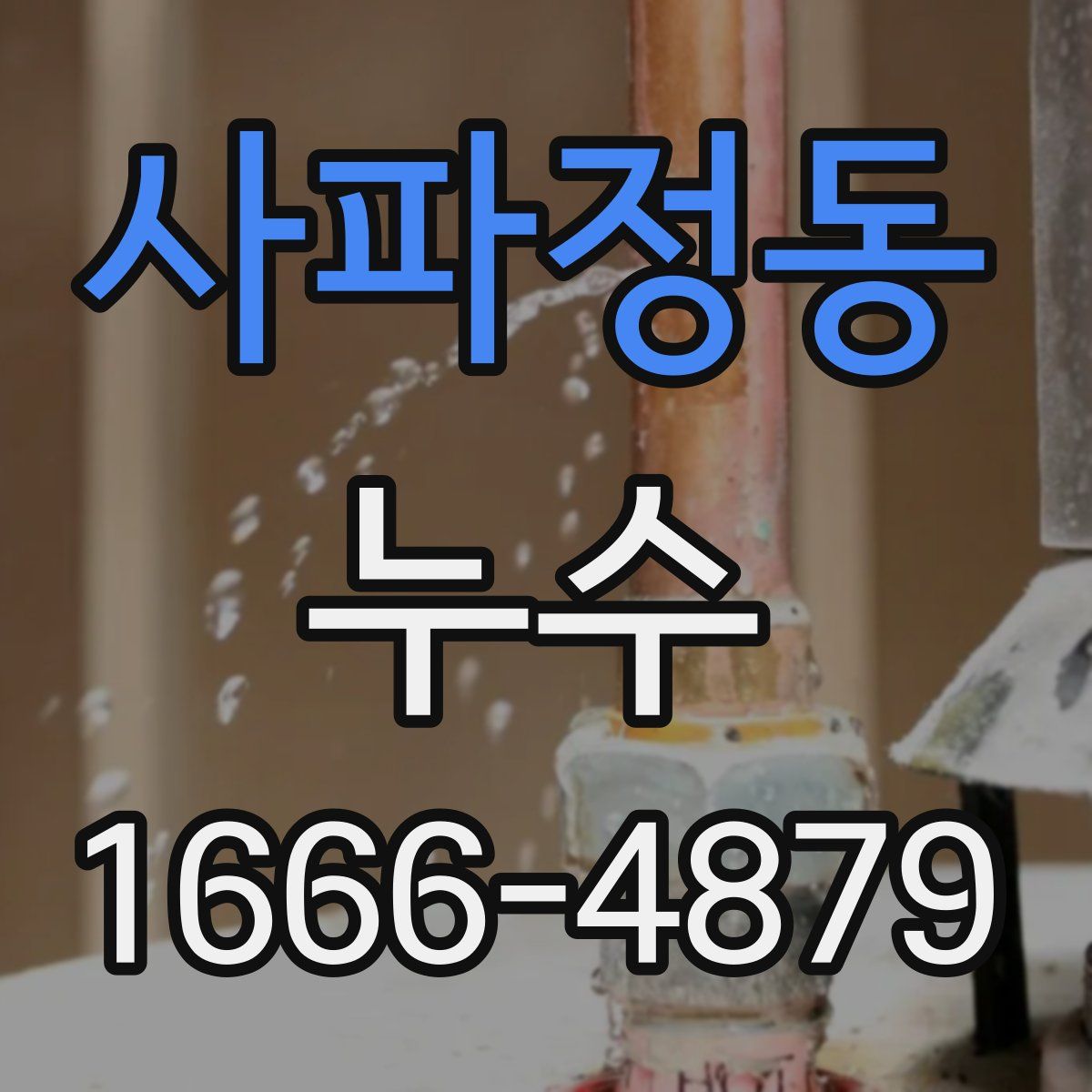 사파정동 누수