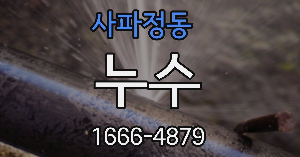 사파정동 누수
