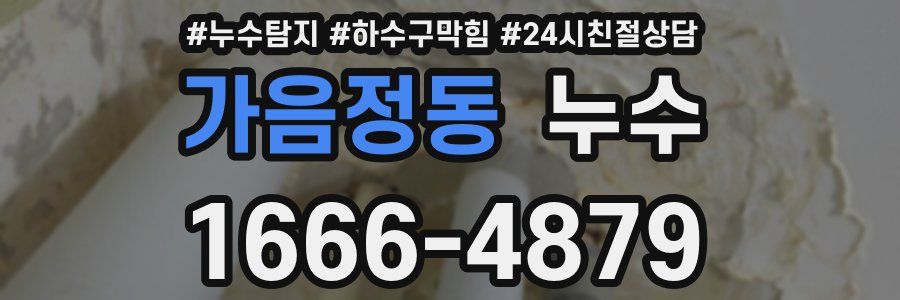 가음정동 누수