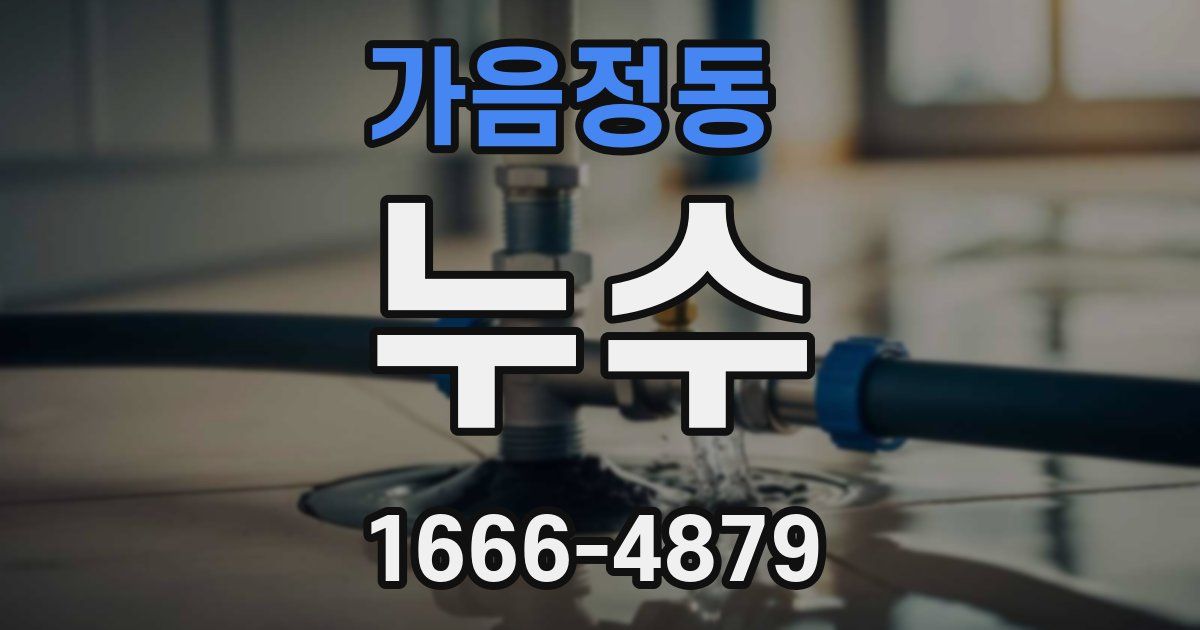 가음정동 누수