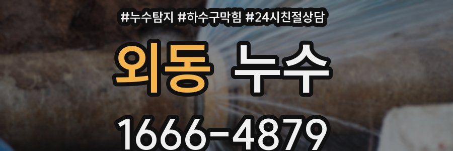 외동 누수
