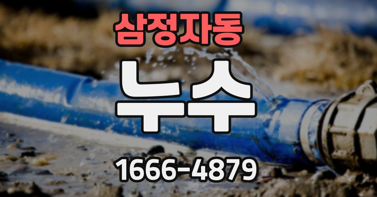 삼정자동 누수