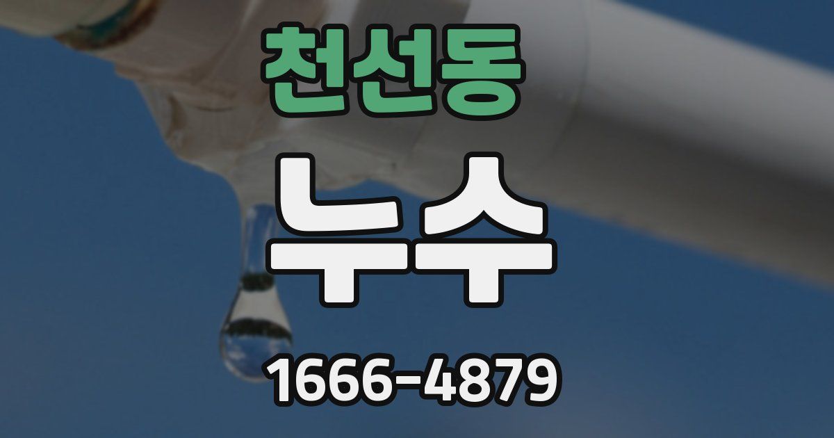 천선동 누수