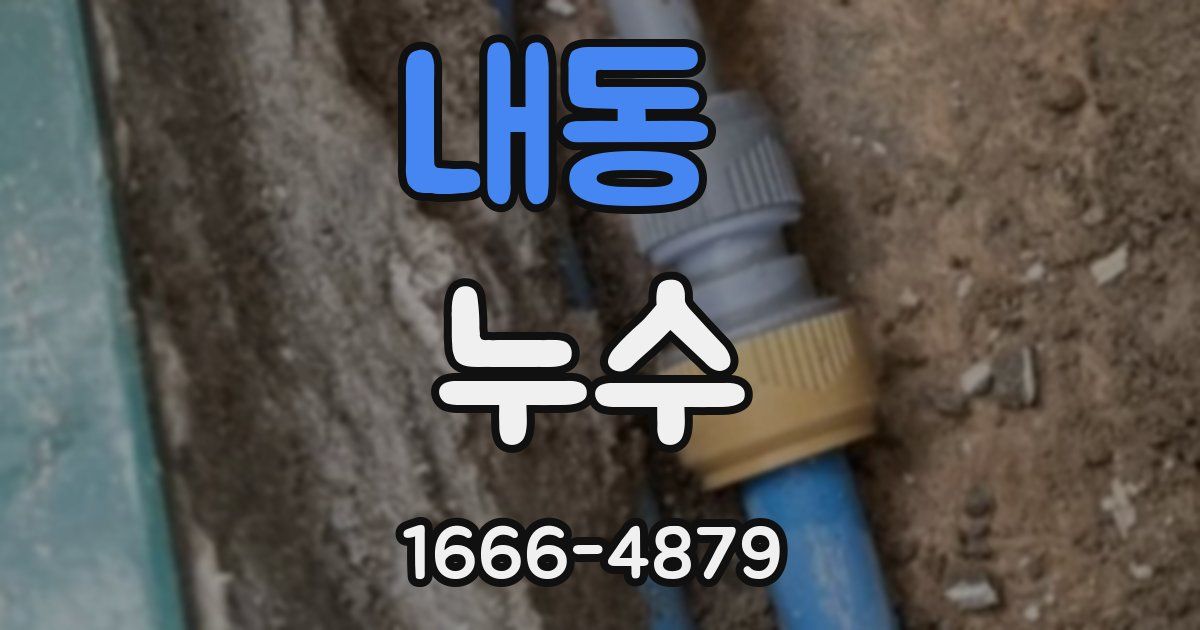 내동 누수