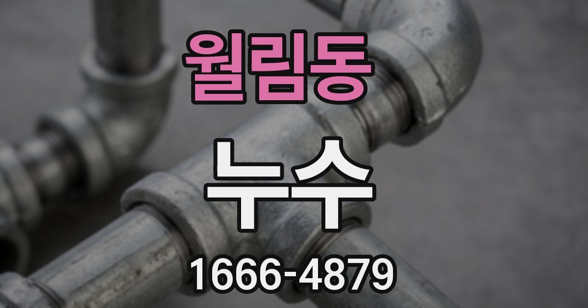 월림동 누수
