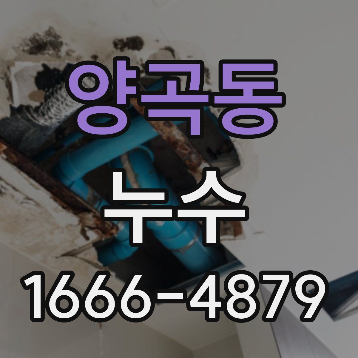 양곡동 누수