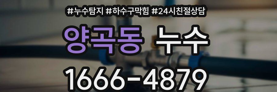 양곡동 누수