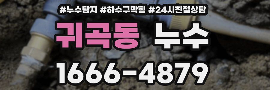 귀곡동 누수
