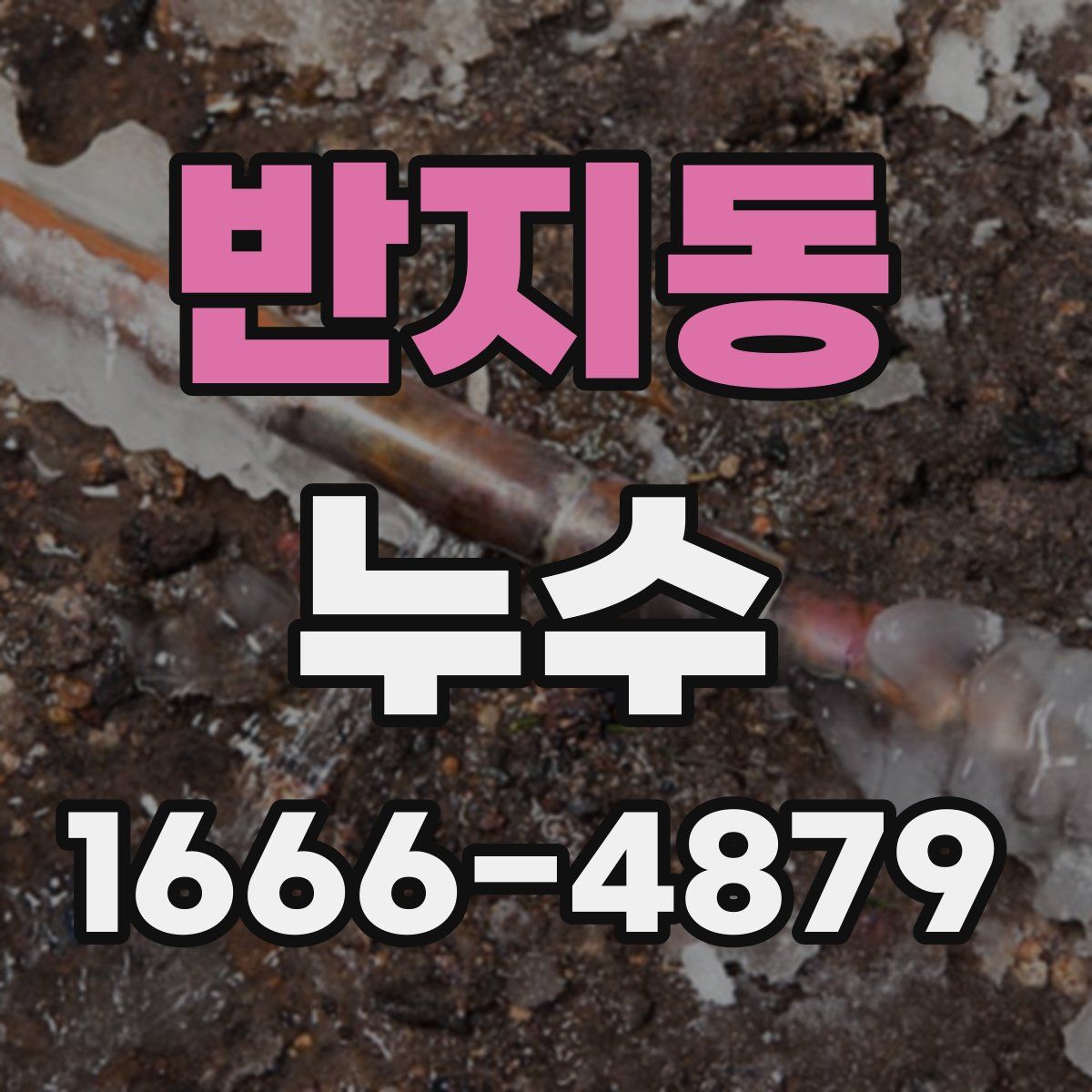 반지동 누수