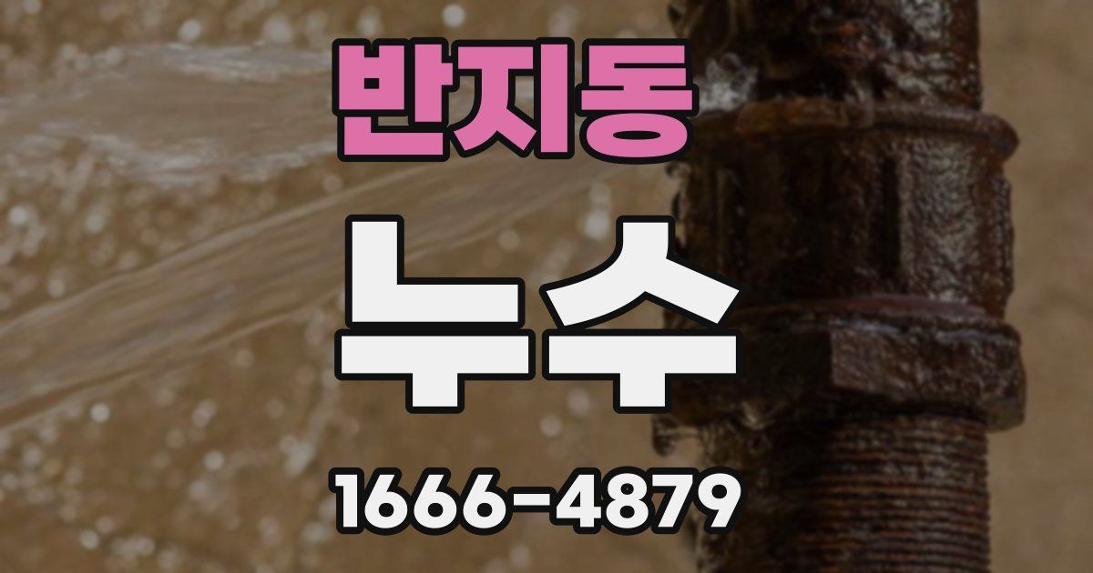 반지동 누수