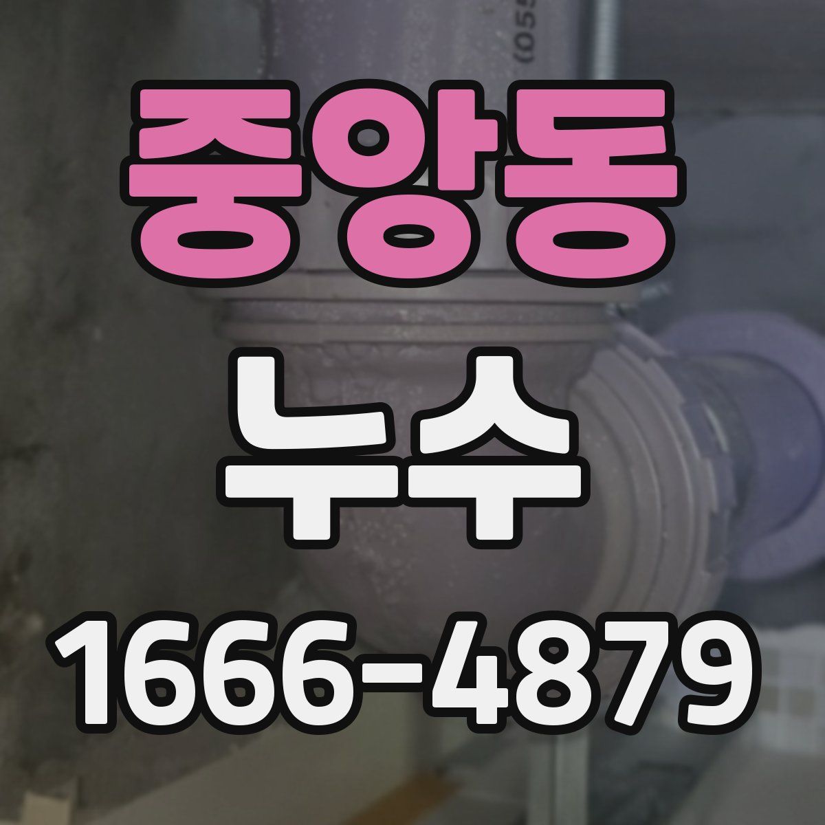 중앙동 누수