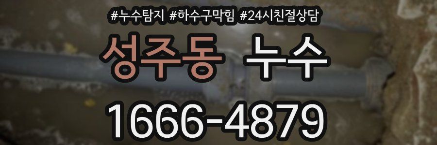 성주동 누수