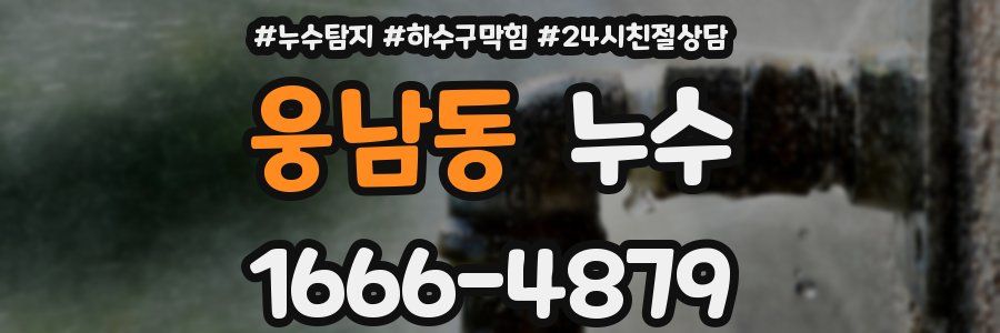 웅남동 누수