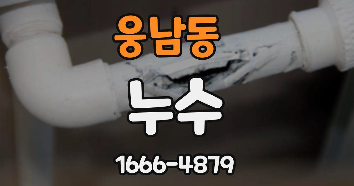 웅남동 누수