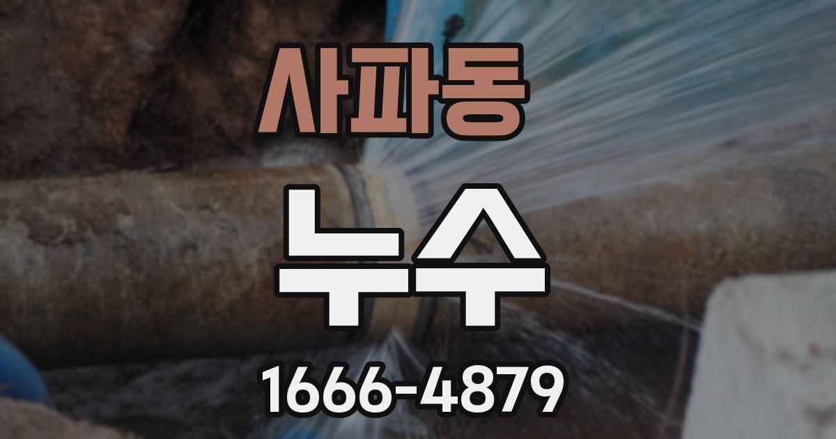 사파동 누수
