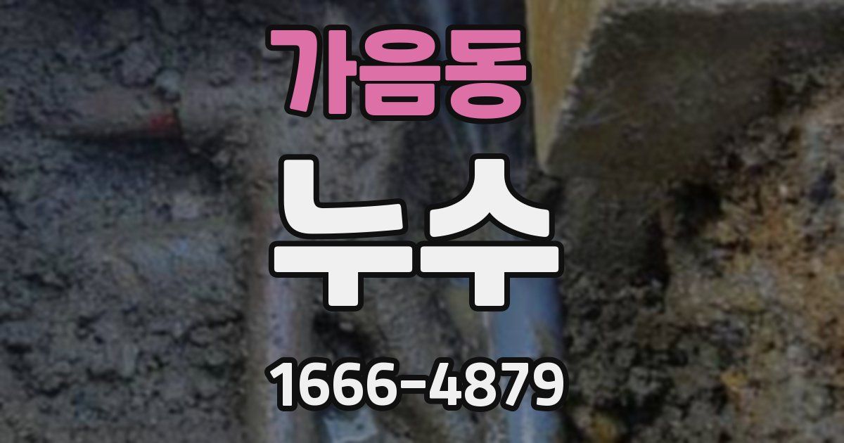 가음동 누수