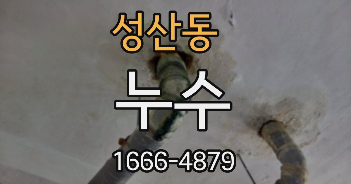 성산동 누수